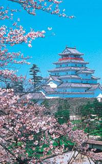 Castelo e Sakura